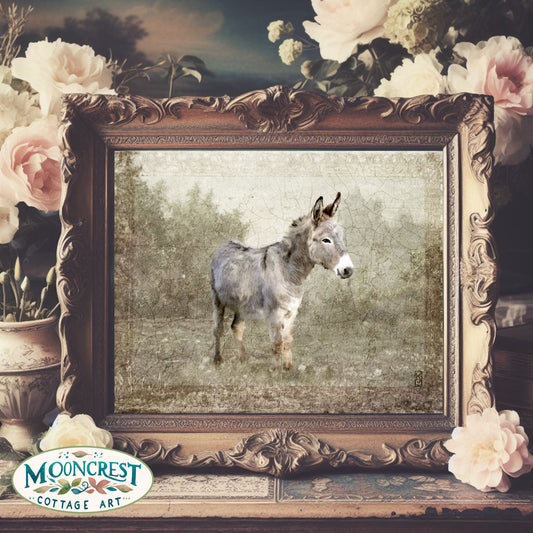 Vintage French Country Donkey Art Print