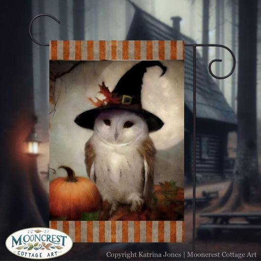 a picture of an owl wearing a witches hat