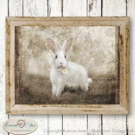 White Rabbit with Daisy French Country Vintage Art Print